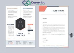 Examples of High-Converting CV Templates