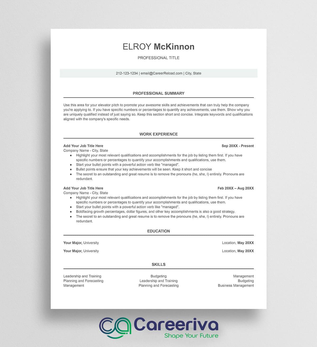 Professional Resume Template 11