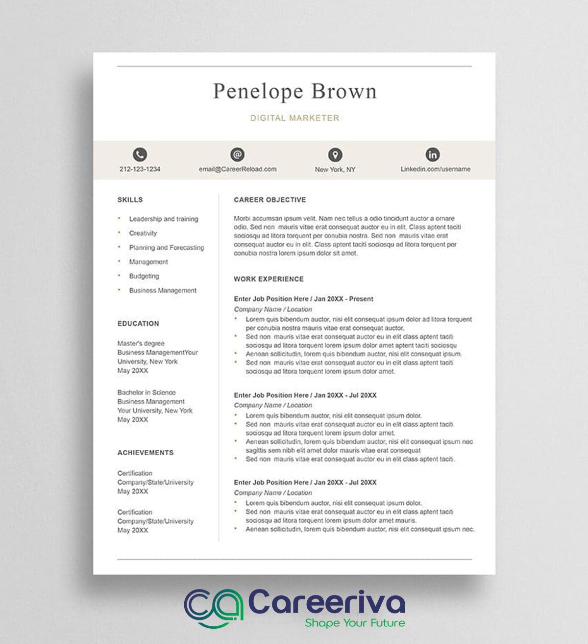 Professional Resume Template 2