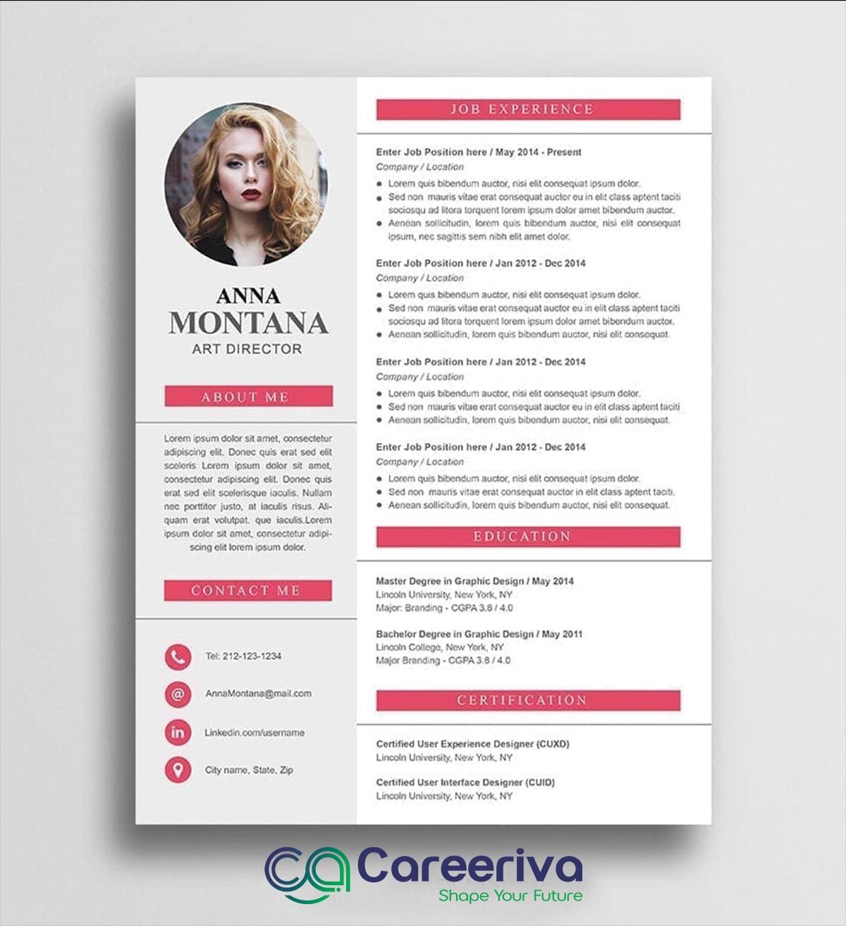 Professional Resume Template 6